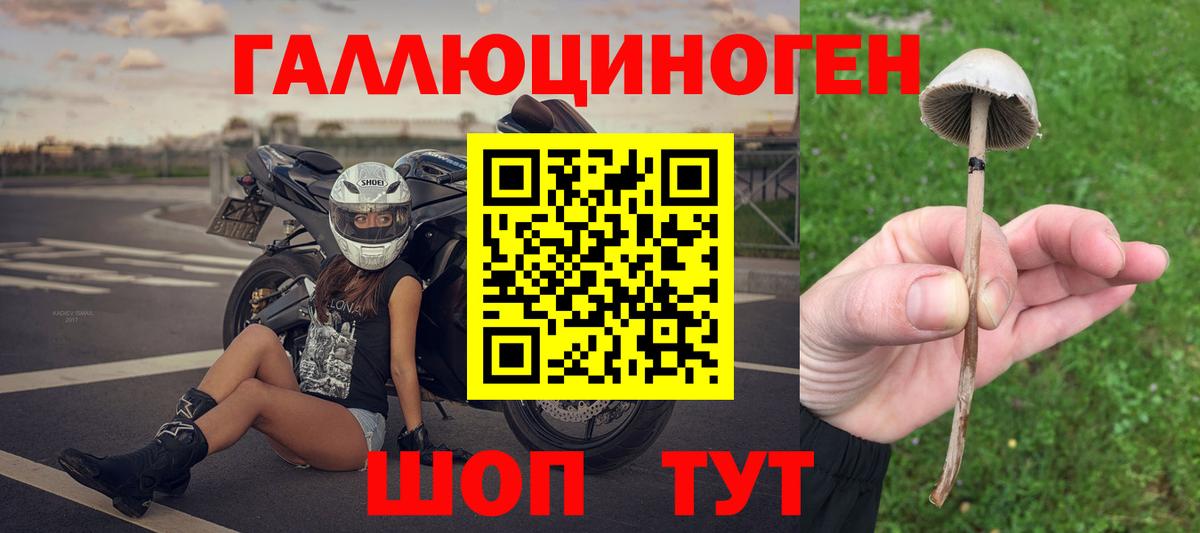 Псилоцибиновые грибы мухоморы  Галлюциногенные грибы Magic Shrooms  Семёнов  Вход с VPN 